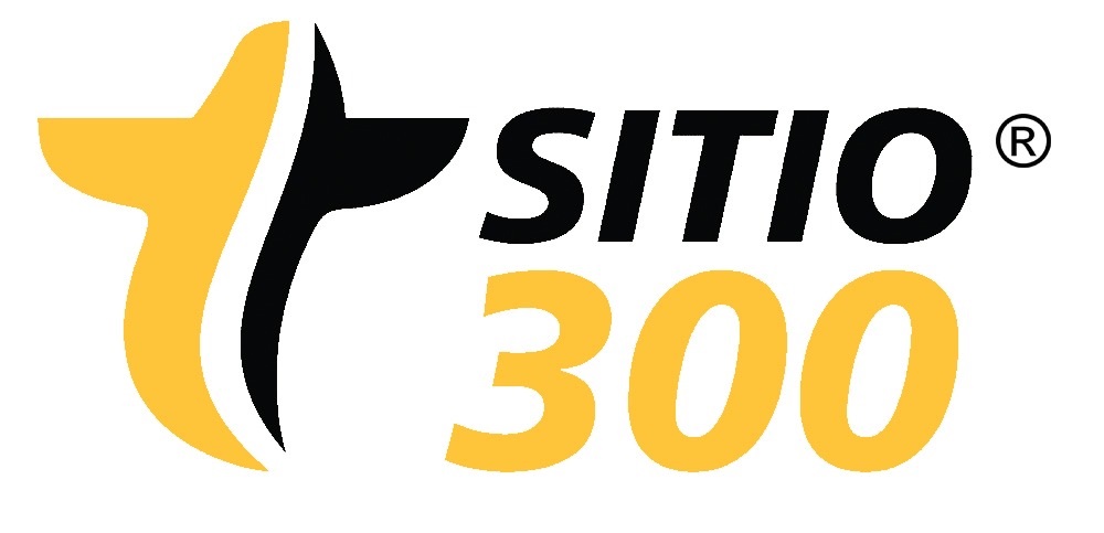 Sitio 300